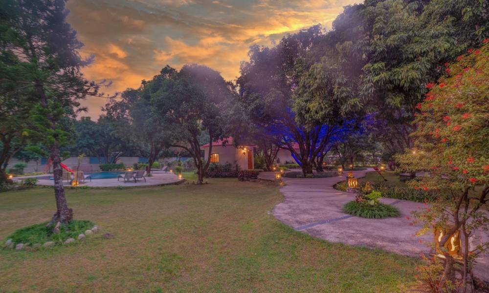 Garden lawns at dusk at La Perle River Resort, Jim Corbett